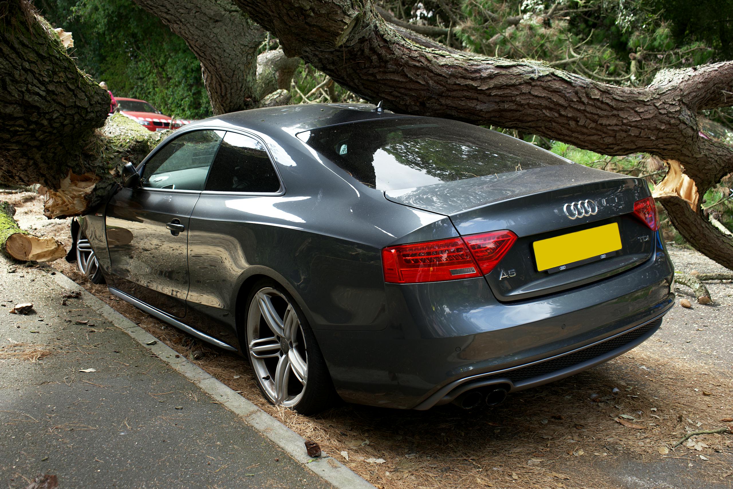 A broken Audi car crushed by a fallen tree in a UK street accident.